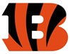 Cincinnati Bengals Flags NFL