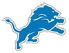 Detroit Lions Outdoor Flag Collection