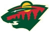 Minnesota Wild Flags NHL