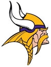 Minnesota Vikings Flags NFL