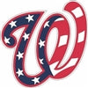 Washington Nationals Flags MLB