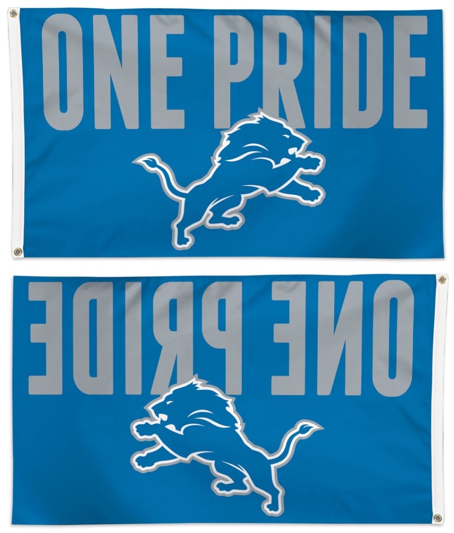 Detroit Lions Flag 3x5 One Pride heartlandflags