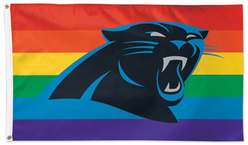 Carolina Panthers Flag 3x5 Classic Logo – HeartlandFlags