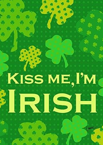 Irish Kiss Flag St Patricks Banner Decorative heartlandflags