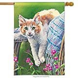 Kitty Cool Down Flag 2 Sided Decorative Banner 91124 Heartland Flags