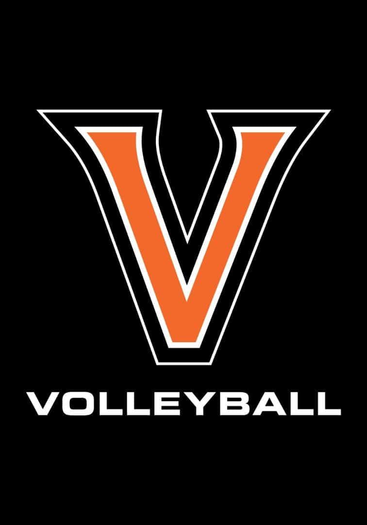 Valley Tigers Volleyball House Flag 2 Sided Pole Sleeve 118189 Heartland Flags