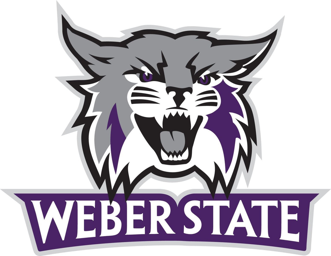 Weber State Flags