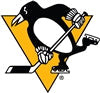 Pittsburgh Penguins Flags NHL