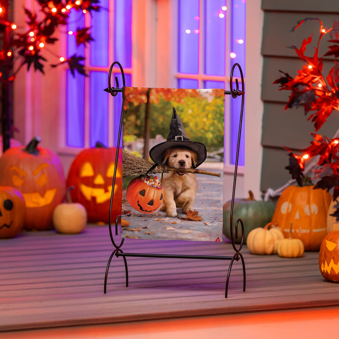 Goldens with Broom 2 Sided Halloween Garden Flag