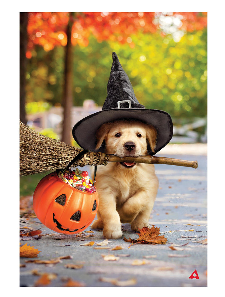 Goldens with Broom 2 Sided Halloween Garden Flag