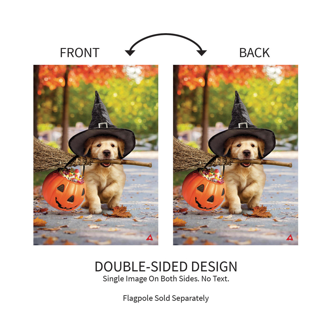 Goldens with Broom 2 Sided Halloween Garden Flag