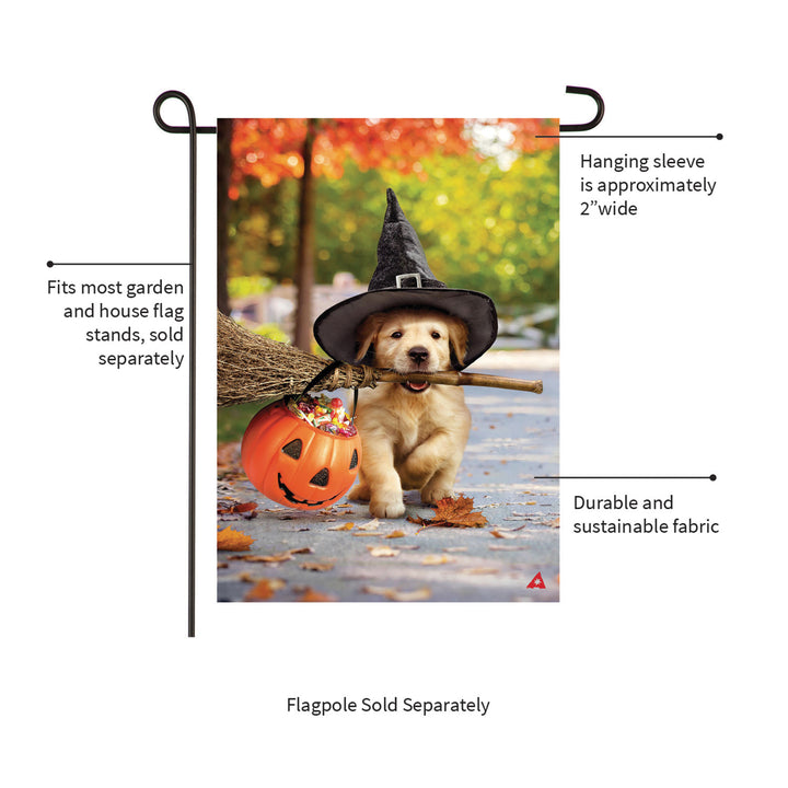 Goldens with Broom 2 Sided Halloween Garden Flag