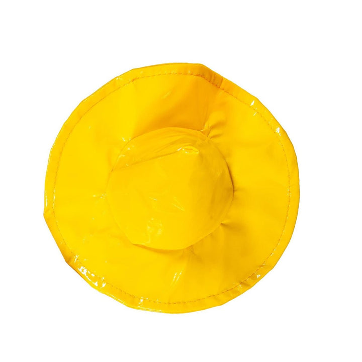 Yellow Raincoat Porch Goose Outfit