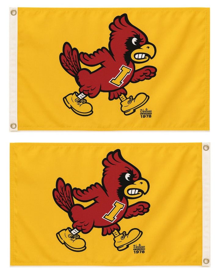 Angry Cy Flag 2x3 Yellow 2 Sided heartlandflags