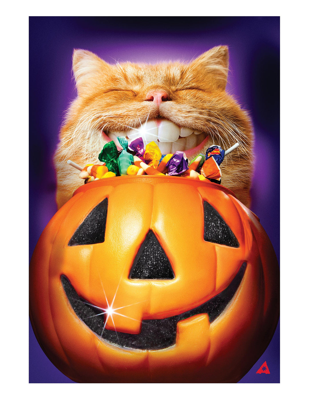 Cat Pumpkin Teeth 2 Sided Garden Flag heartlandflags