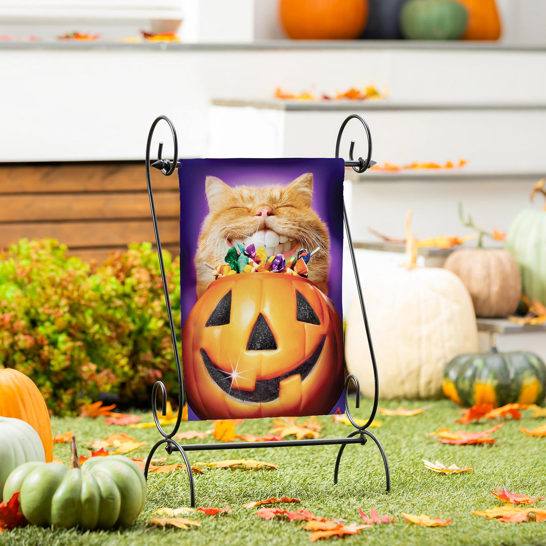 Cat Pumpkin Teeth 2 Sided Garden Flag heartlandflags