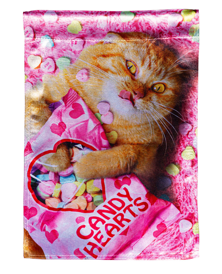 Cat With Candy Heart Valentine Garden Flag 2 Sided heartlandflags