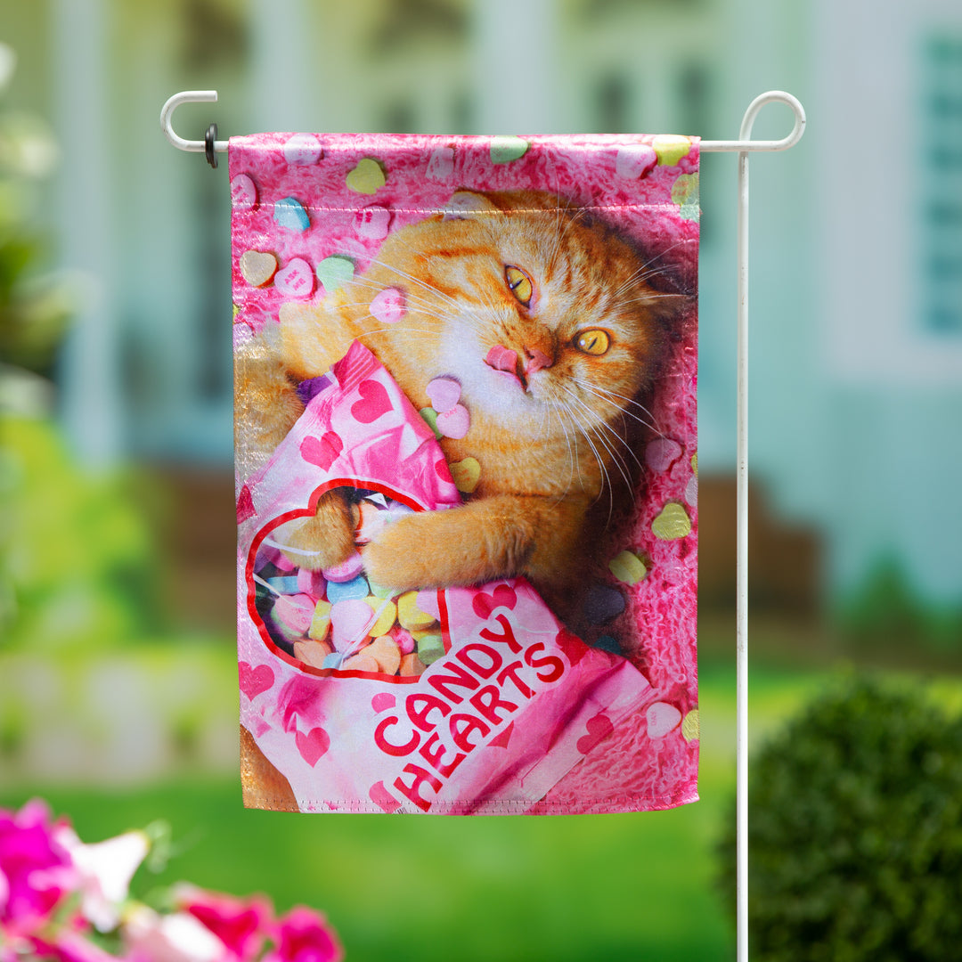 Cat With Candy Heart Valentine Garden Flag 2 Sided heartlandflags