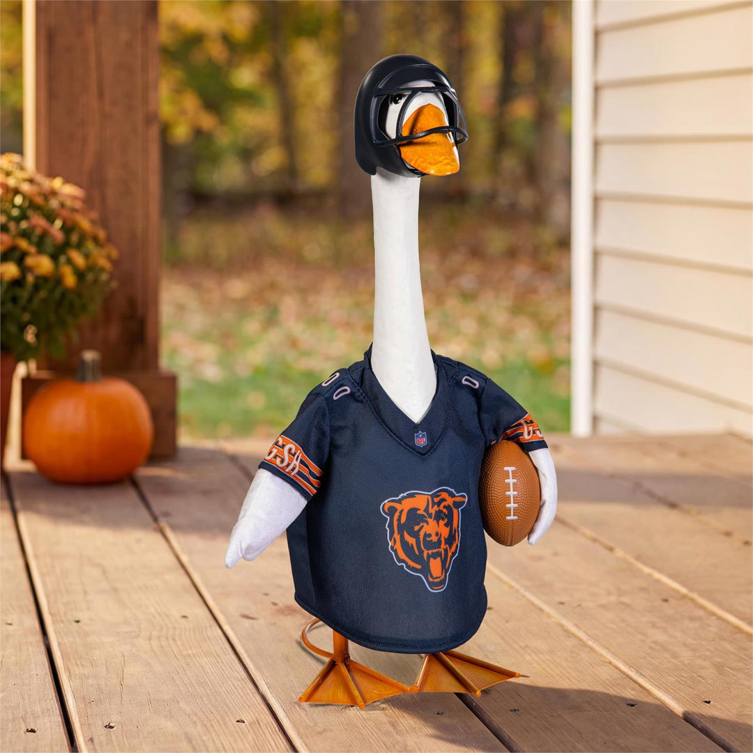 Rear view of Chicago Bears goose outfit with BEARS lettering and white 00 outlined in orange