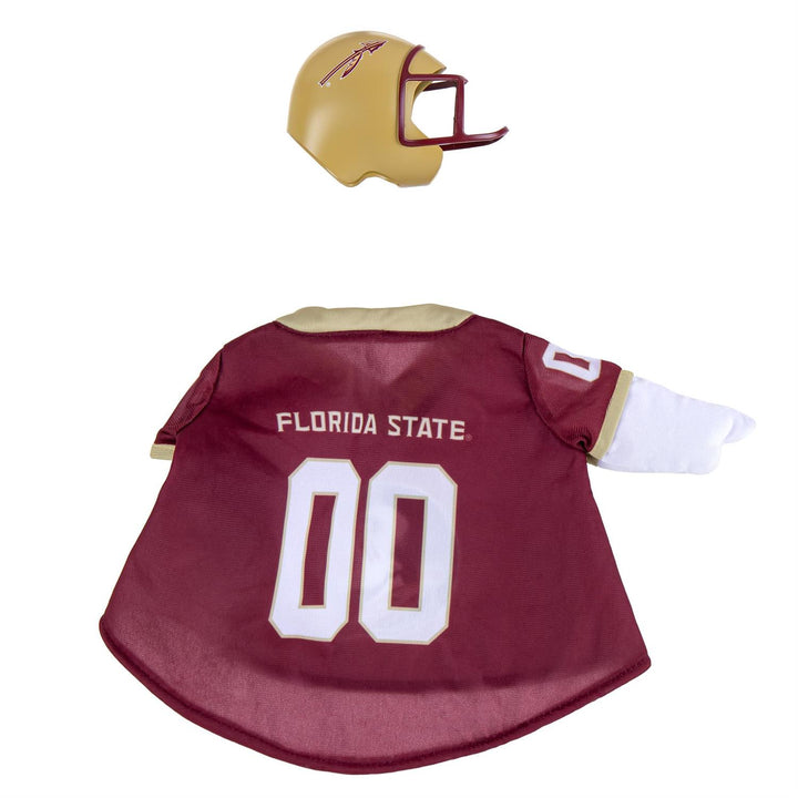 Back of Florida State football goose jersey with number 00 and matching gold-colored helmet