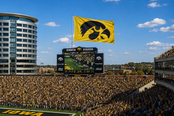 Iowa Hawkeyes 2 Sided Yellow 6x10 Flag Black Tigerhawk heartlandflags