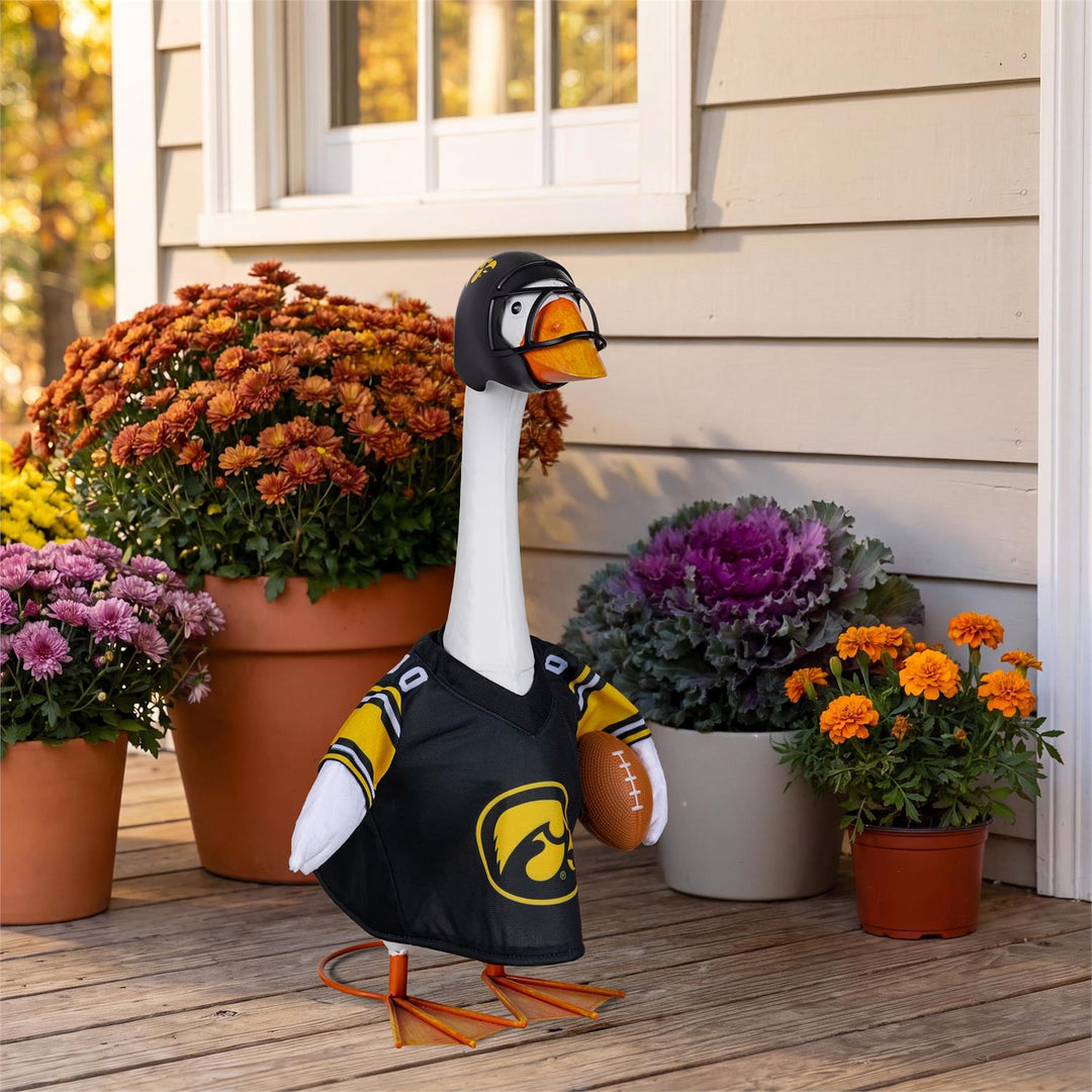 Licensed Iowa Hawkeyes jersey and football helmet shown without the goose
