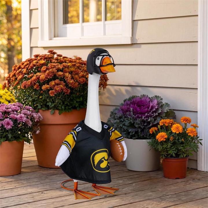 Licensed Iowa Hawkeyes jersey and football helmet shown without the goose