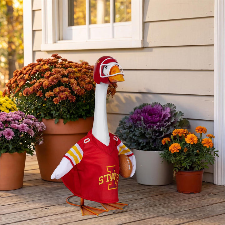 Licensed Iowa State Cyclones jersey and football helmet shown without the goose