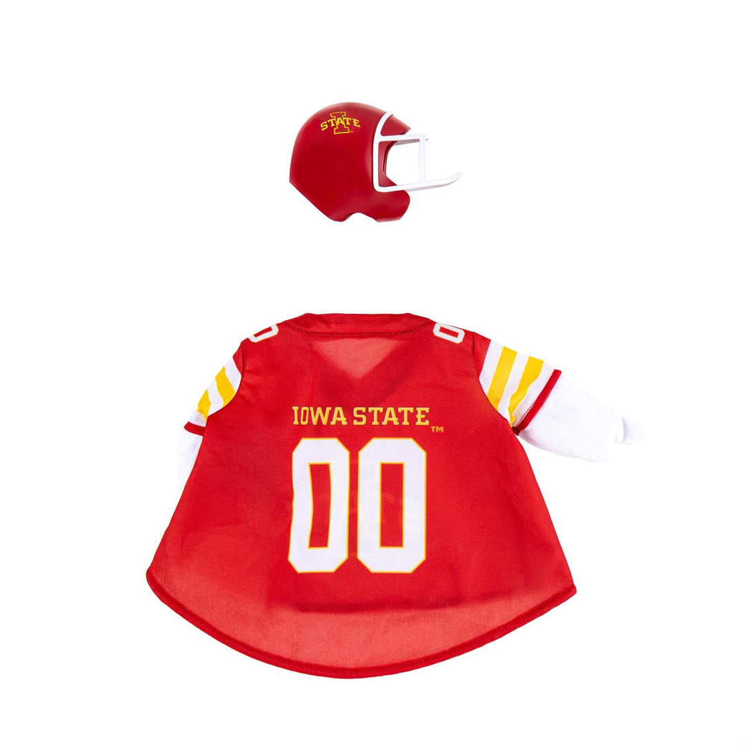 Angled front view of Iowa State Cyclones goose costume with football detail and white faceguard