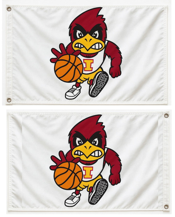 Iowa State Flag Basketball Cy 2 Sided 2x3 heartlandflags
