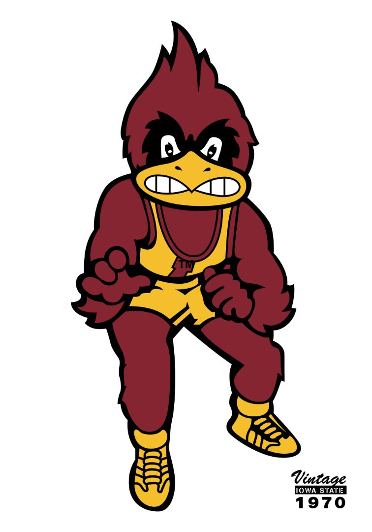 Iowa State Wrestling 2 Sided Banner heartlandflags