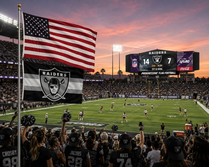 Las Vegas Raiders Flag 3x5 Retro Logo
