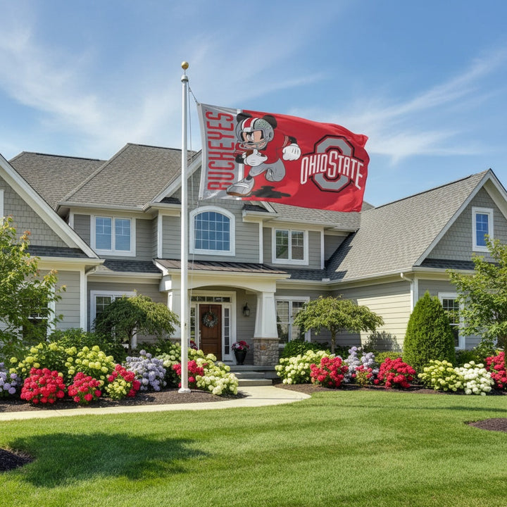 Ohio State Buckeyes Mickey Mouse 3x5 Football Flag heartlandflags