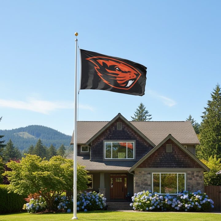 Oregon State 2 Sided Black 3x5 Flag heartlandflags