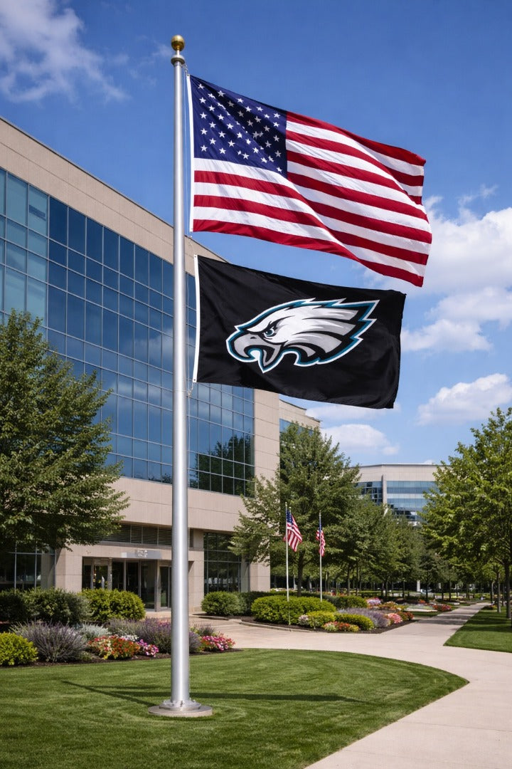 Philadelphia Eagles Flag 4x6 Black 2 Sided heartlandflags