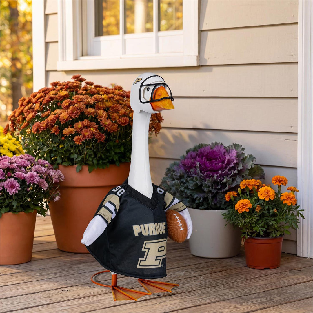 Decorative porch goose wearing Purdue Boilermakers black football jersey and white helmet with football detail