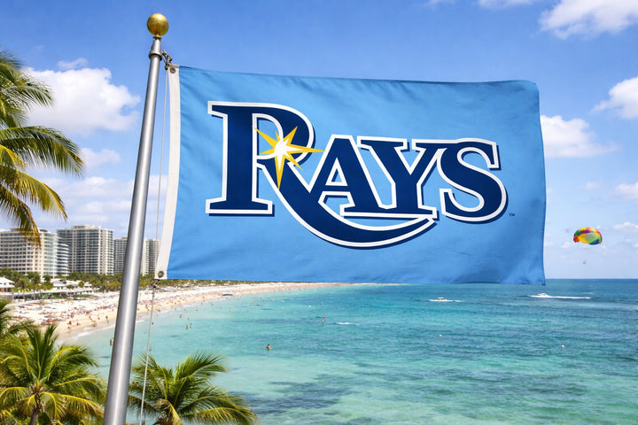 Tampa Bay Rays Flag 3x5 Logo 2 Sided heartlandflags
