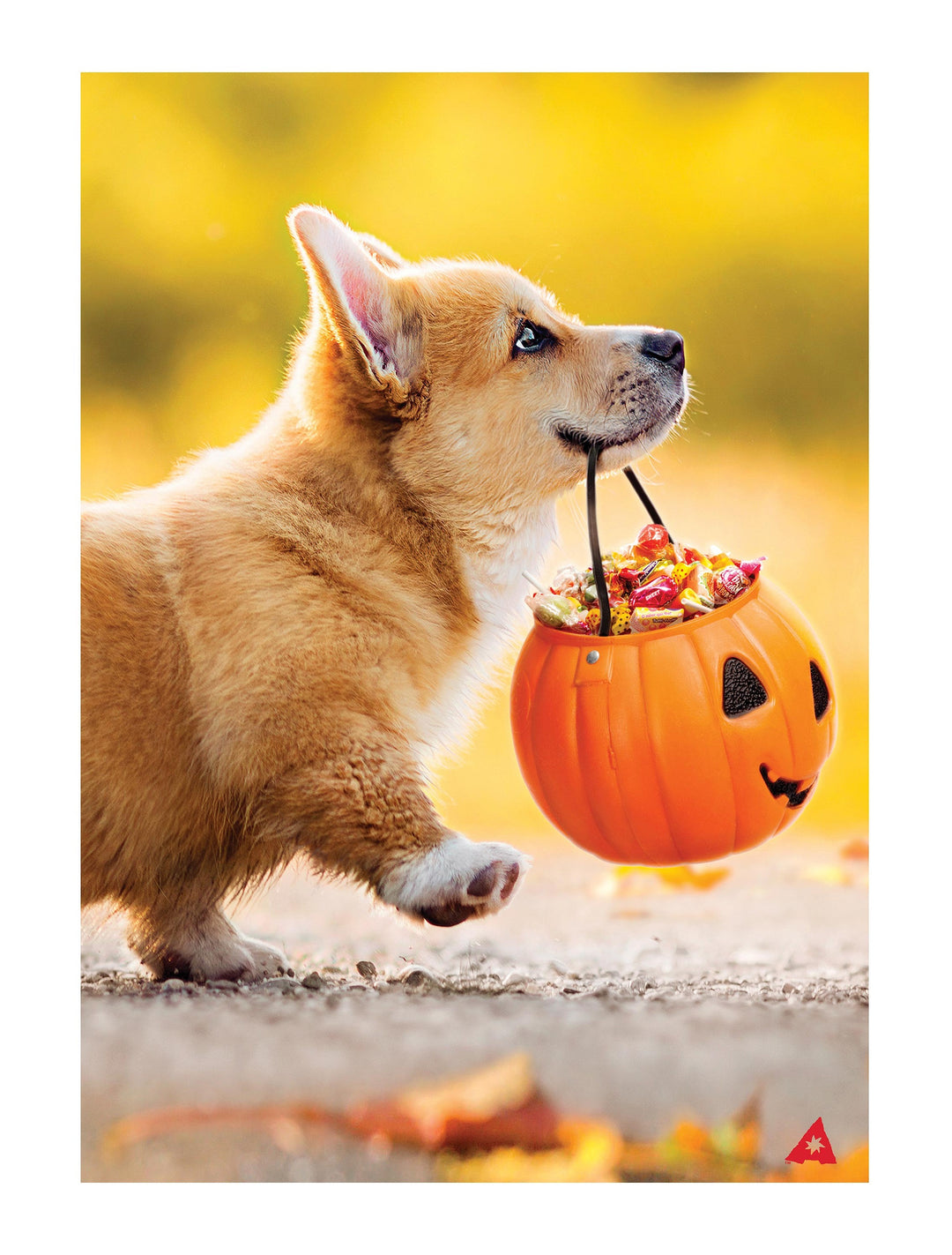 Trick or Treat Puppy 2 Sided Garden Flag heartlandflags