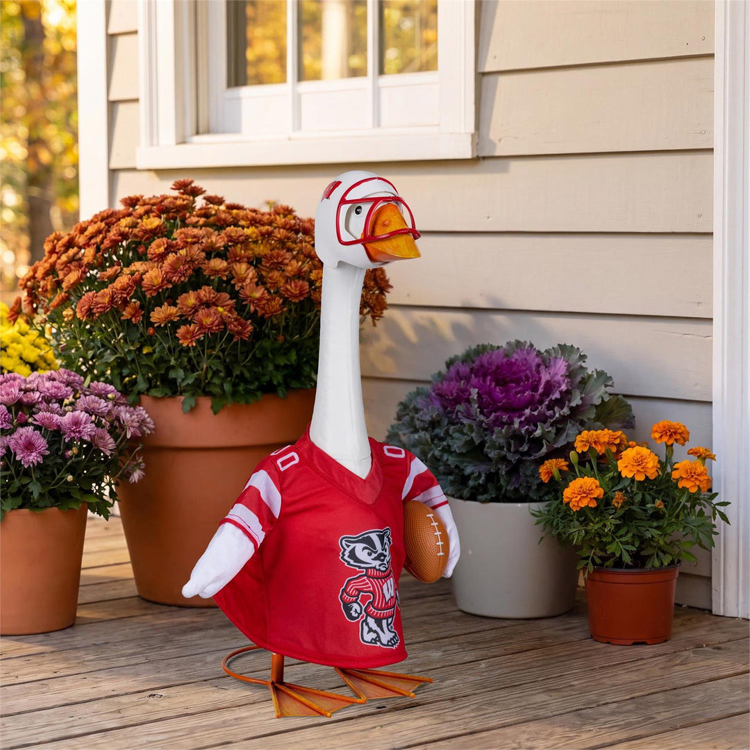 Back view of Wisconsin football goose outfit showing Wisconsin lettering and number 00; goose not included