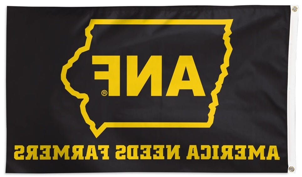 Iowa Hawkeyes Flag 3x5 ANF State of Iowa 49680322 Heartland Flags