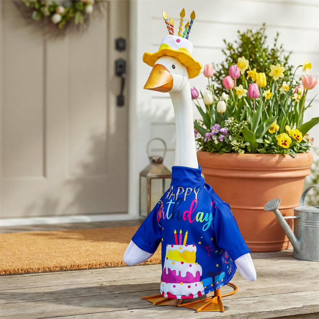 Birthday Celebration Porch Goose Outfit heartlandflags