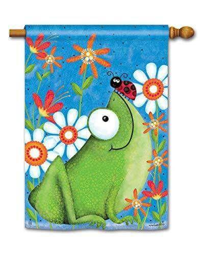 Frog Fun Decorative Flag 2 Sided heartlandflags