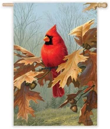 Oak Tree Cardinal Flag 2 Sided Decorative Banner heartlandflags