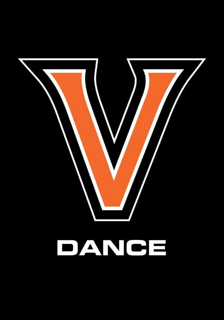 Valley Tigers Dance House Flag 2 Sided Pole Sleeve heartlandflags