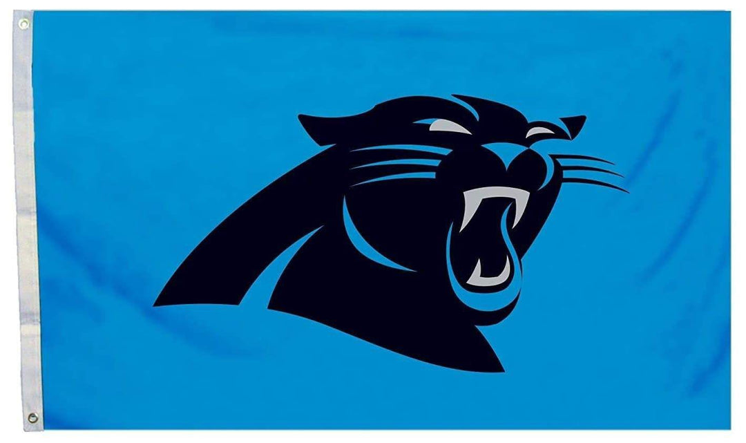 Carolina Panthers Flag 3x5 Logo 94928B Heartland Flags