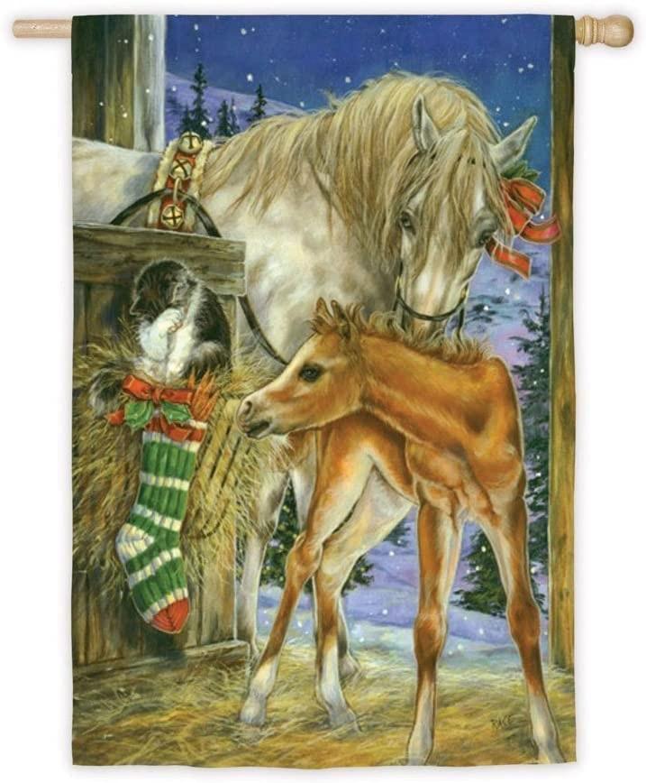 Foals First Christmas Banner 2 Sided Flag 13A3108 Heartland Flags