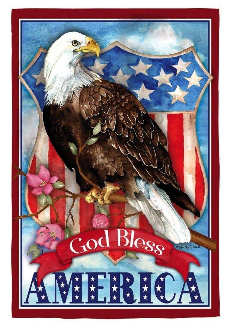 God Bless America Eagle Flag 2 Sided Decorative Patriotic 13S9841 Heartland Flags