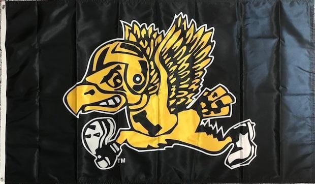 Iowa Hawkeyes Flag 2 Sided 3x5 Throwback Herky Logo 560718 Heartland Flags