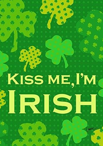 Irish Kiss Flag St Patricks Banner Decorative 109464 Heartland Flags