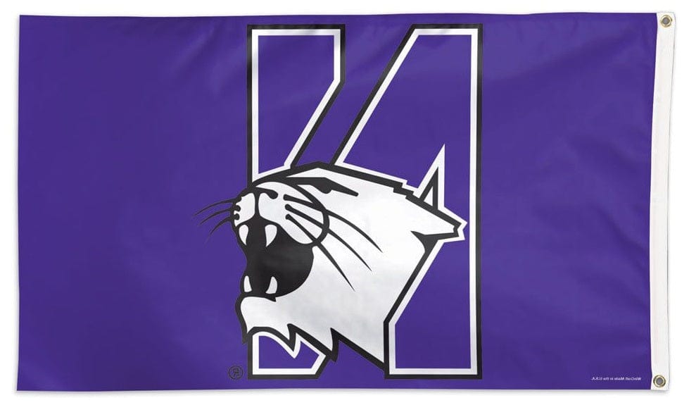 Northwestern Wildcats Logo Flag 3x5 Purple 02278115 Heartland Flags